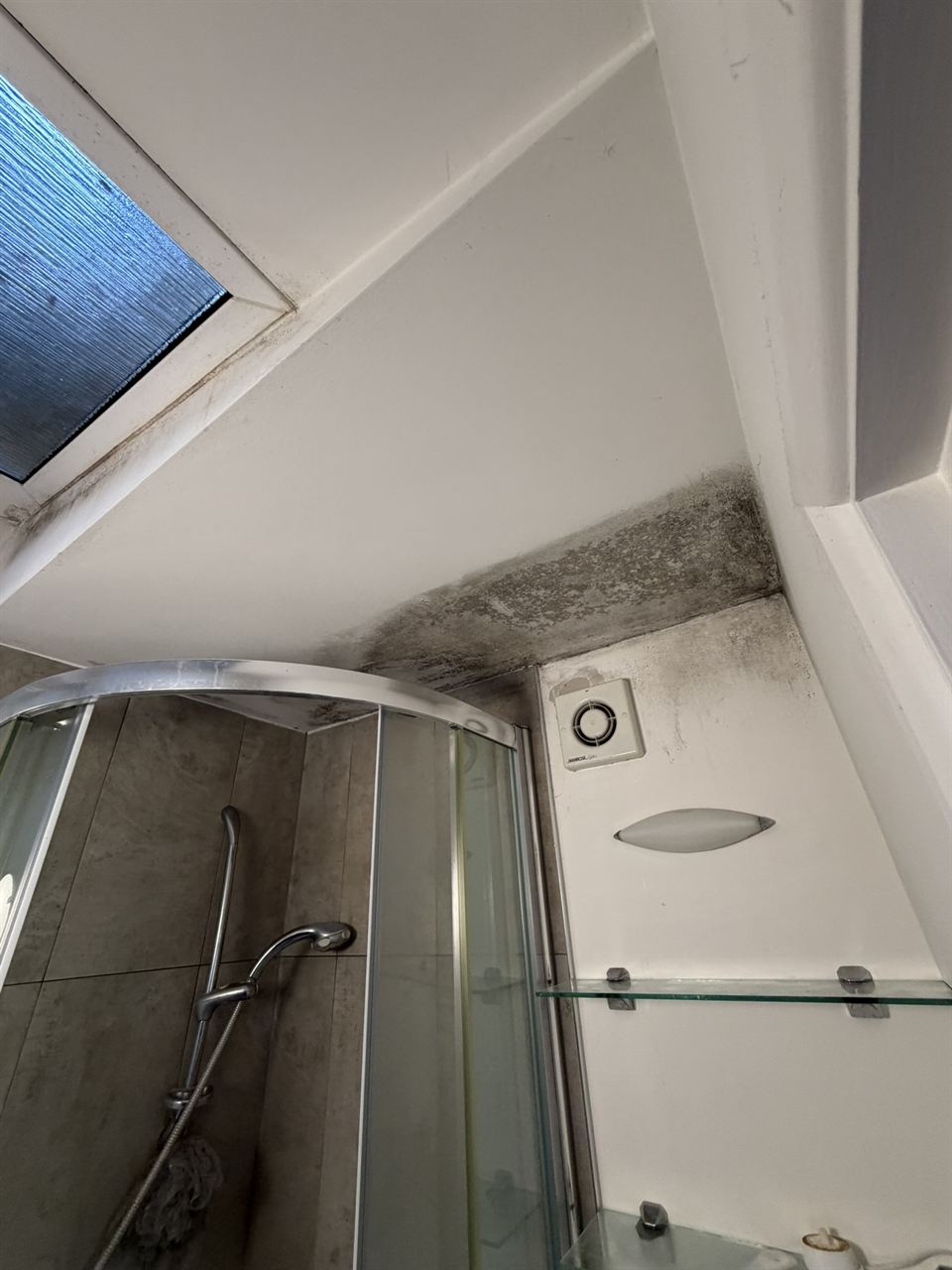 Mould across a shower room ceiling before treatment