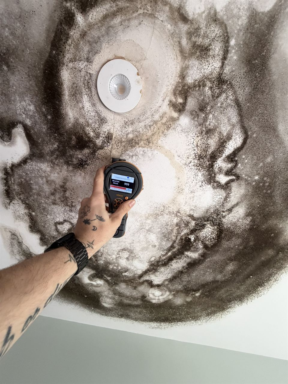Moisture meter reading taken on a mould-stained ceiling