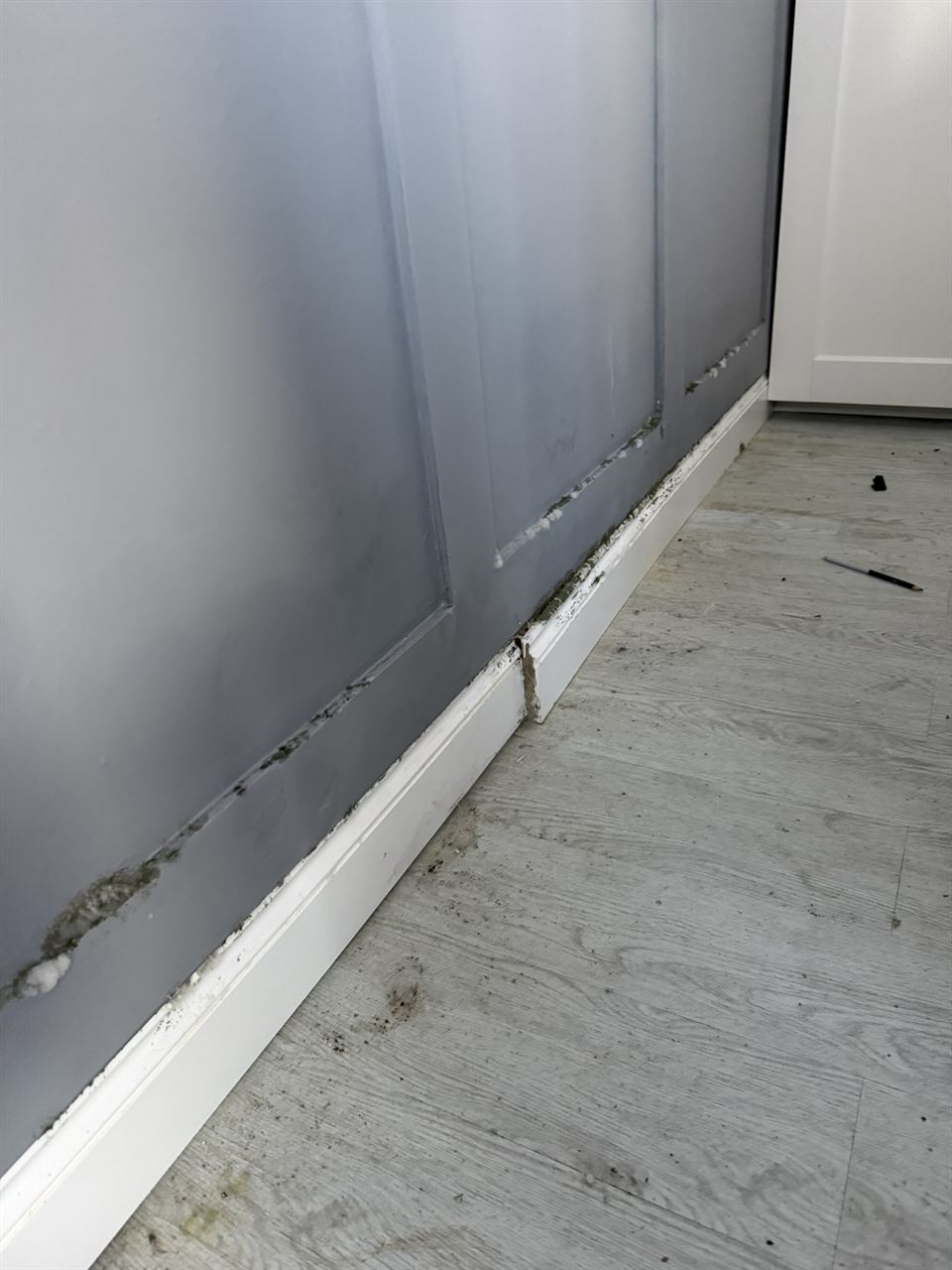 Mould along the bottom of a panelled wall and skirting before remediation