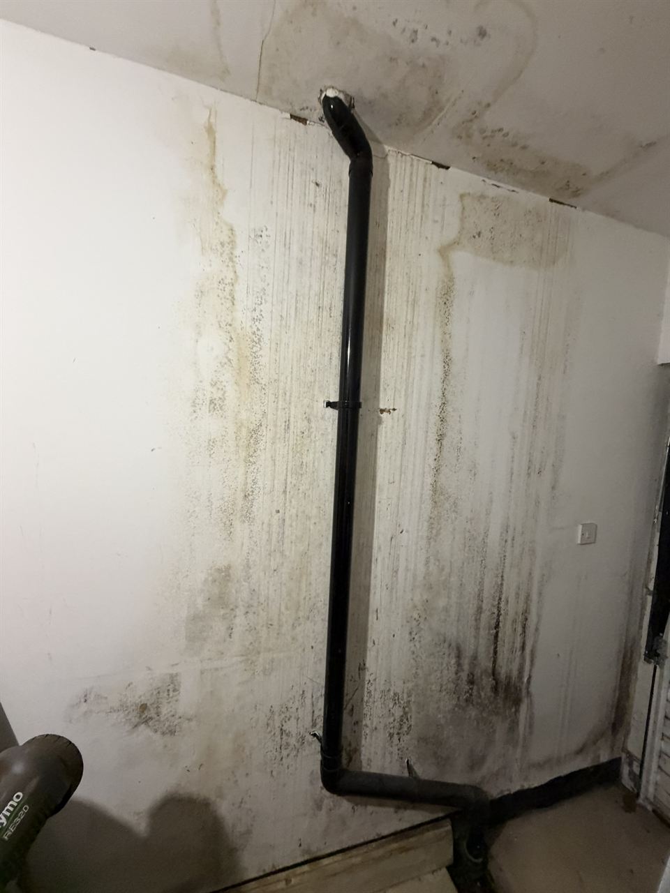 Mould on a wall beside a downpipe before treatment