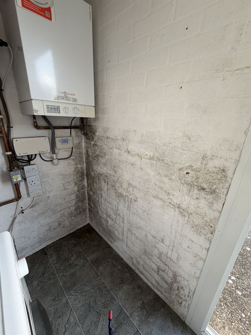 Mould growth across a utility room wall before treatment